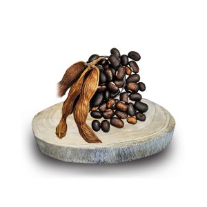 WhatsApp Image 2026-01-12 at 12.20.32 PM (2)