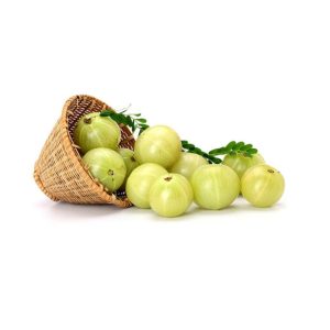 WhatsApp Image 2026-01-12 at 12.20.32 PM