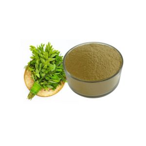 WhatsApp Image 2026-01-12 at 12.20.33 PM